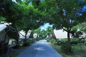 05 キャンプ施設