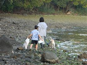 海辺でごみ拾い