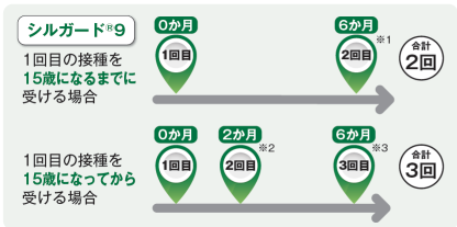 シルガード９スケジュール