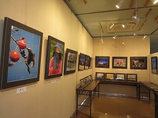 s-20241108-10_総合展示02