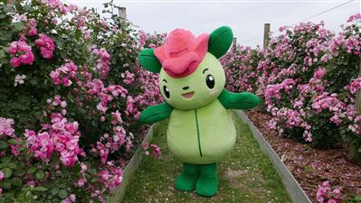 エコバラちゃん