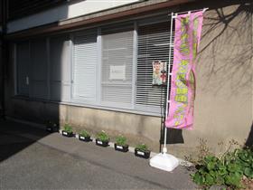 植栽活動(2)