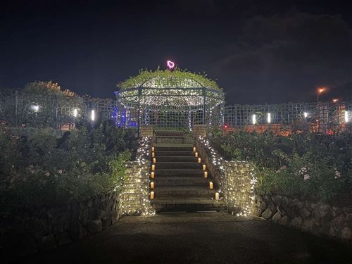 イルミネーション