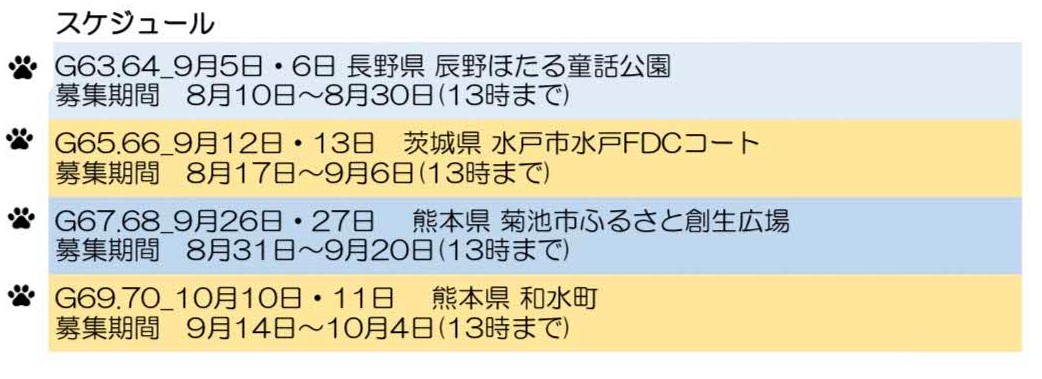 スケジュール