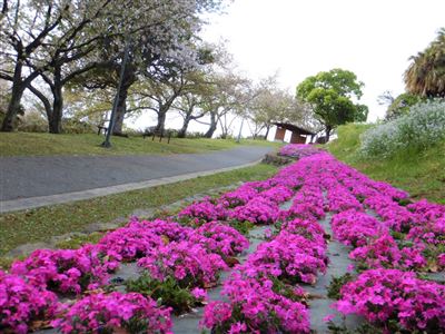 大崎鼻