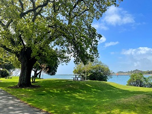 33. Eleanor McCormack