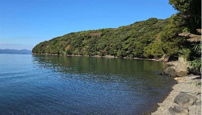 グリーンスポーツ画像(1) - コピー