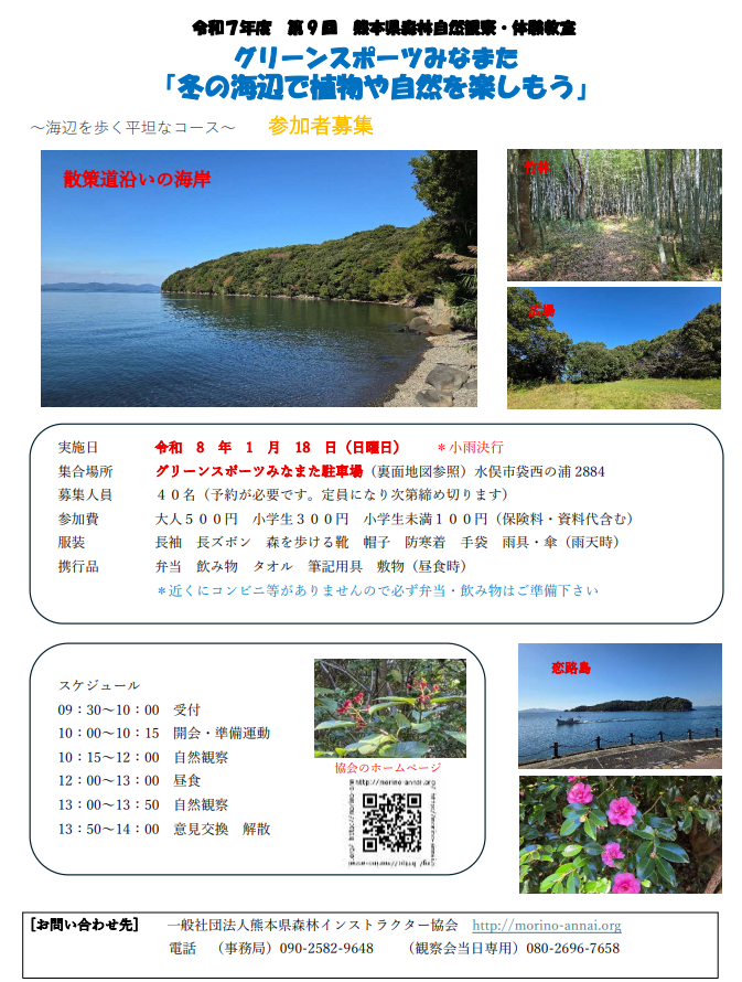 スクリーンショット (19)